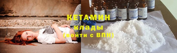 прущие грибы Касимов